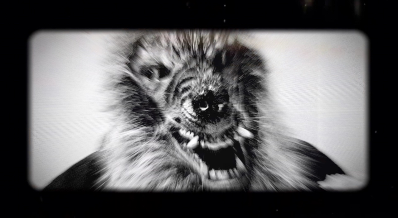 CallMeDriver - Wolf (Official Music Video)